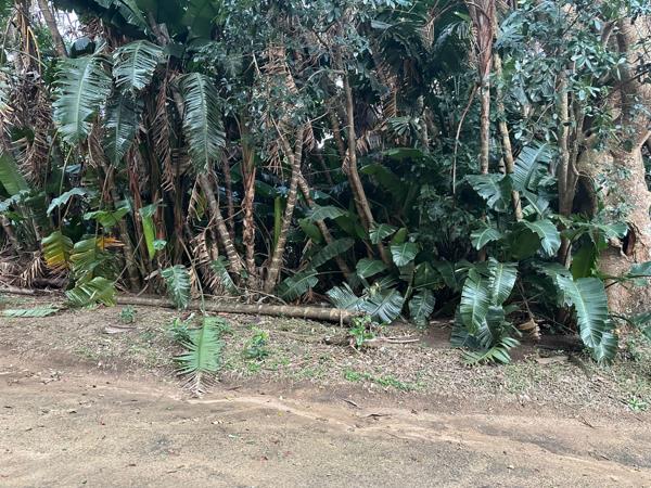 3.5 ha Land