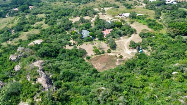 10.4 ha Smallholding
