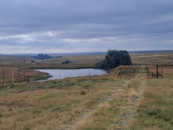77.7 ha Farm