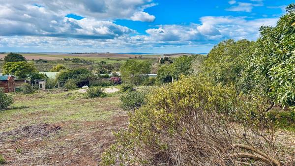 1 596 m² Land