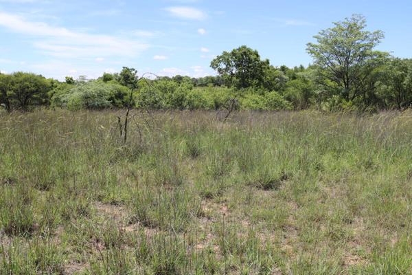 1 500 m² Land