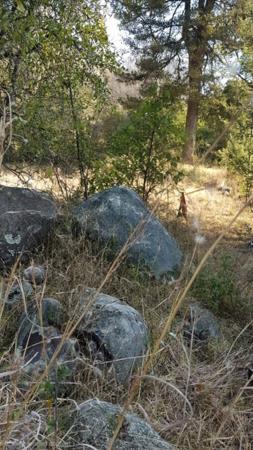 2 307 m² Land