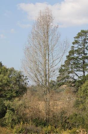 2 307 m² Land