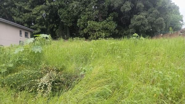 570 m² Land