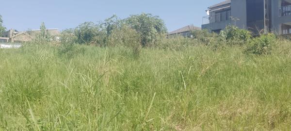 532 m² Land