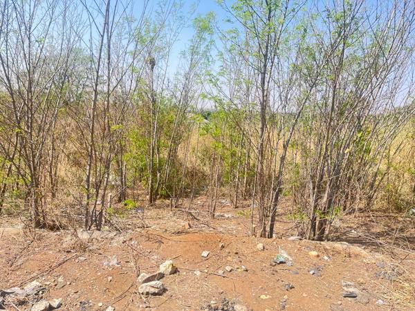 6.2 ha Land