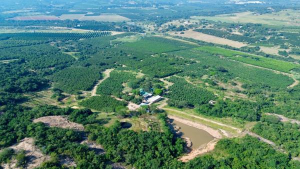 99.8 ha Farm