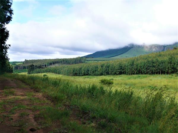 380 ha Farm