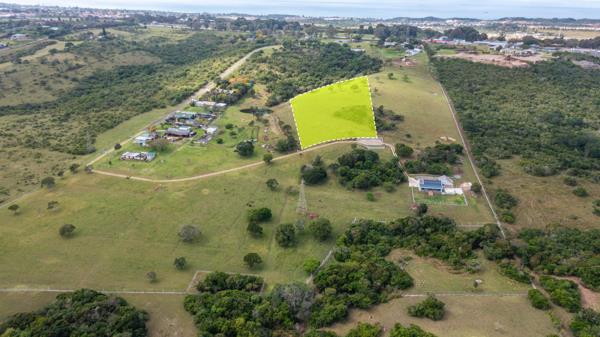 1 ha Land