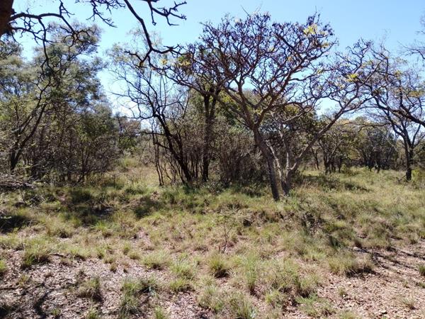 6 523 m² Land