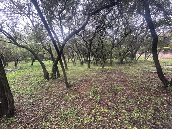 8 565 m² Land