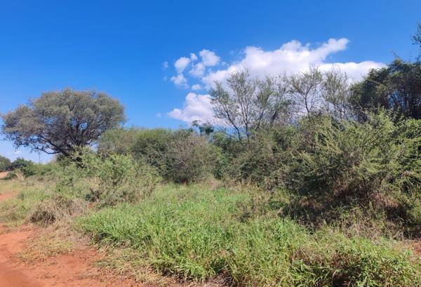 1 239 m² Land
