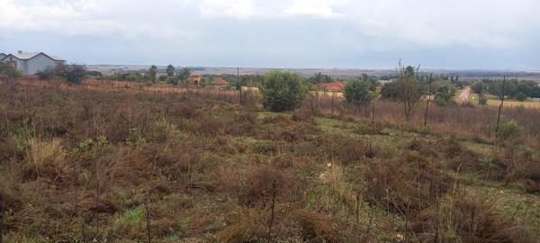 1 ha Land