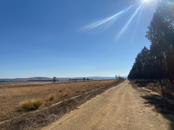 484 ha Farm
