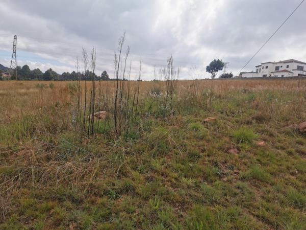 1.3 ha Land