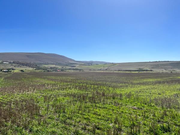 5.9 ha Smallholding