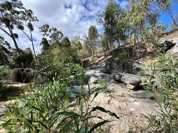 3 119 m² Land