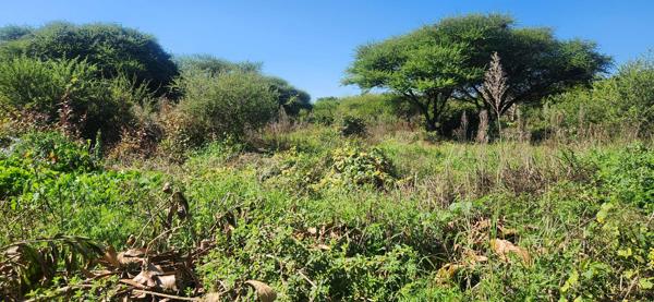 1 865 m² Land