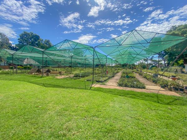4 ha Smallholding