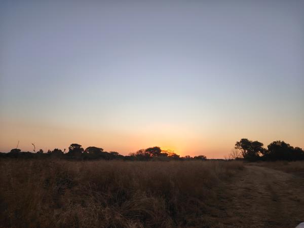9.9 ha Agricultural Holding