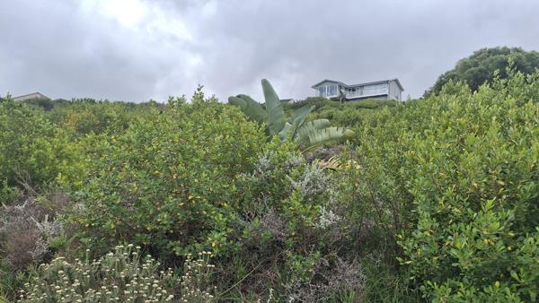 1 020 m² Land