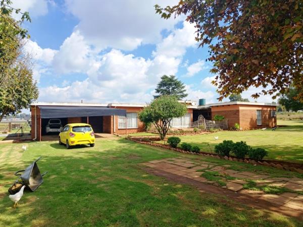 8 000 m² Smallholding