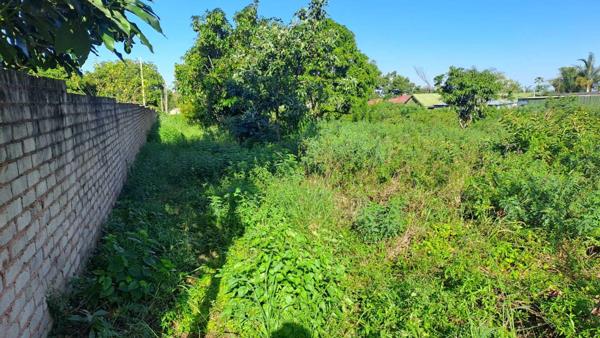 2 855 m² Farm