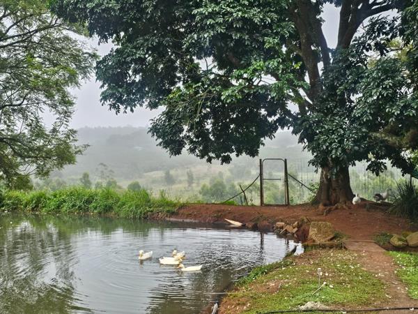 7.6 ha Farm
