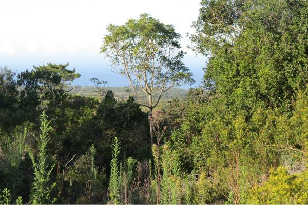 1.8 ha Land