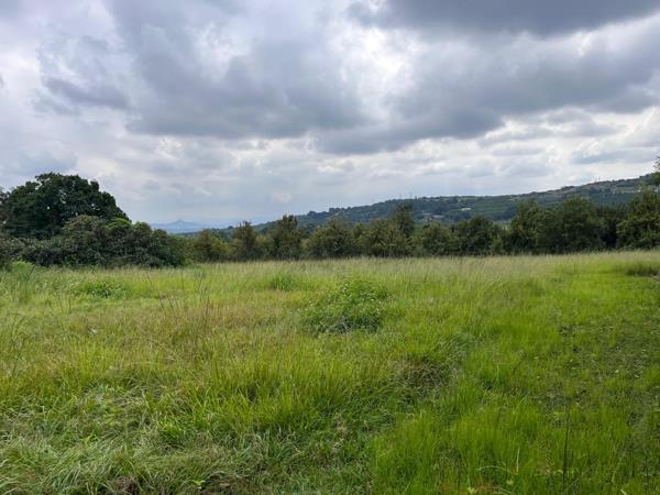 48 ha Agricultural Holding