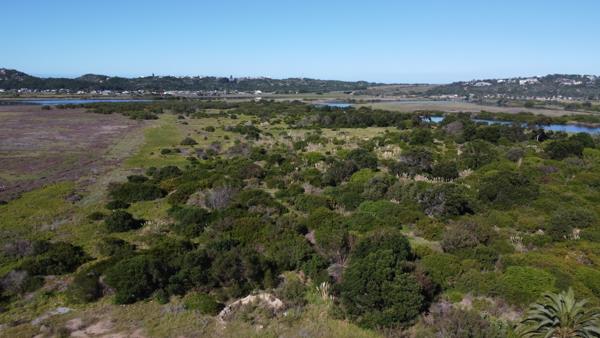 7.8 ha Land