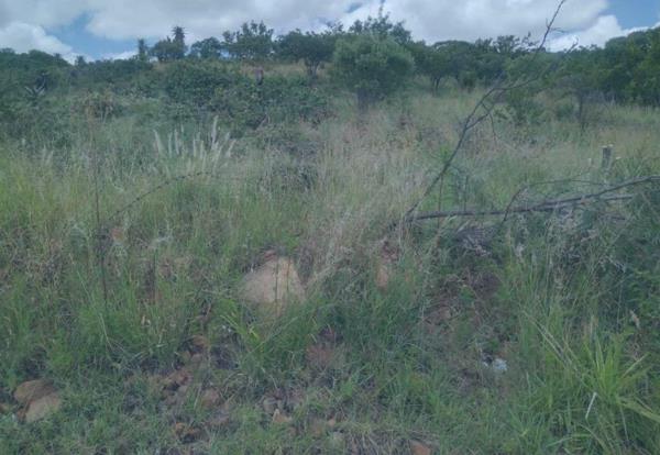 324 m² Land