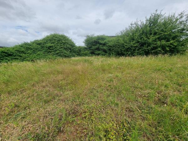 980 m² Land