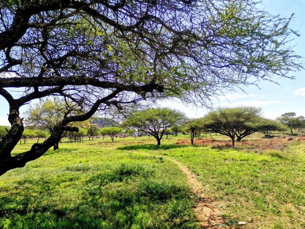 9 ha Farm