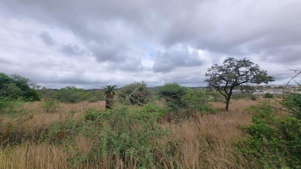 22.3 ha Land