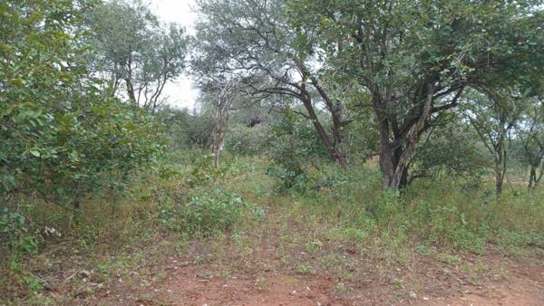 2 000 m² Land