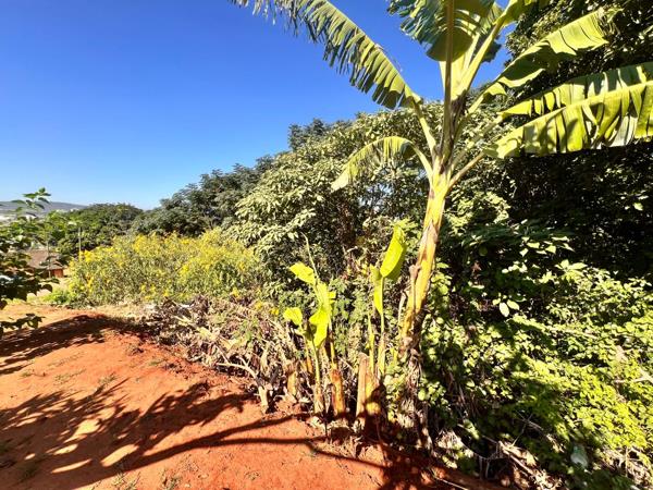 2 031 m² Land