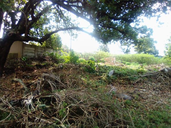1 456 m² Land