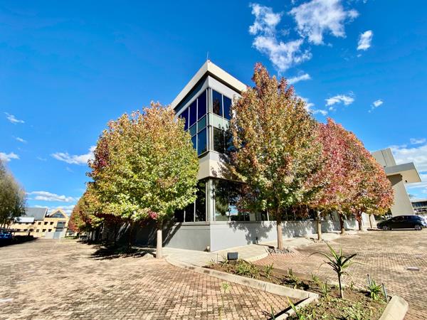 218 m² Office Space