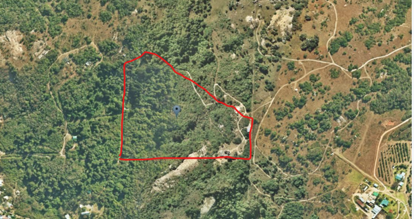 8.7 ha Farm