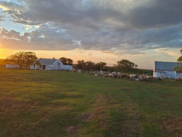433 ha Farm