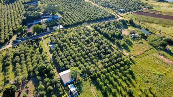 1 ha Smallholding