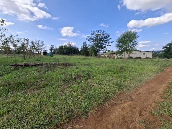 11 ha Farm