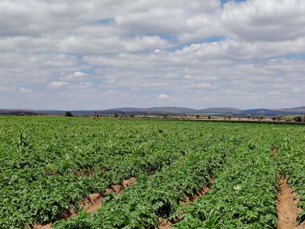 408 ha Farm