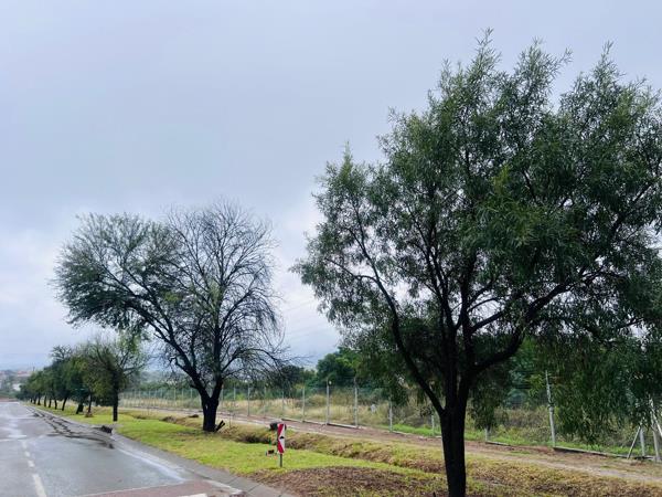 1 010 m² Land