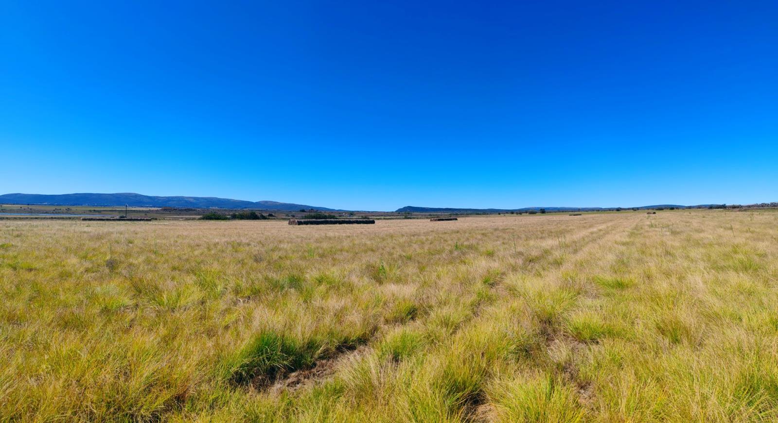 408 ha Farm - View 2