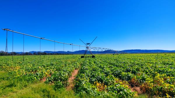 408 ha Farm