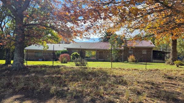 6 ha Smallholding