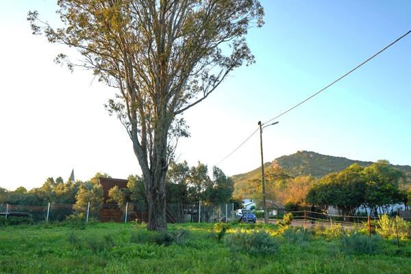 1 169 m² Land