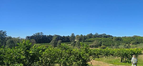 9 591 m² Farm